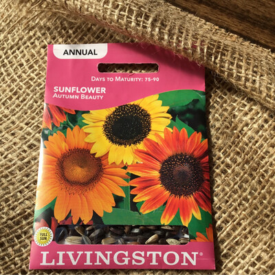 (Seed) Sunflower Autumn Beauty $2.99