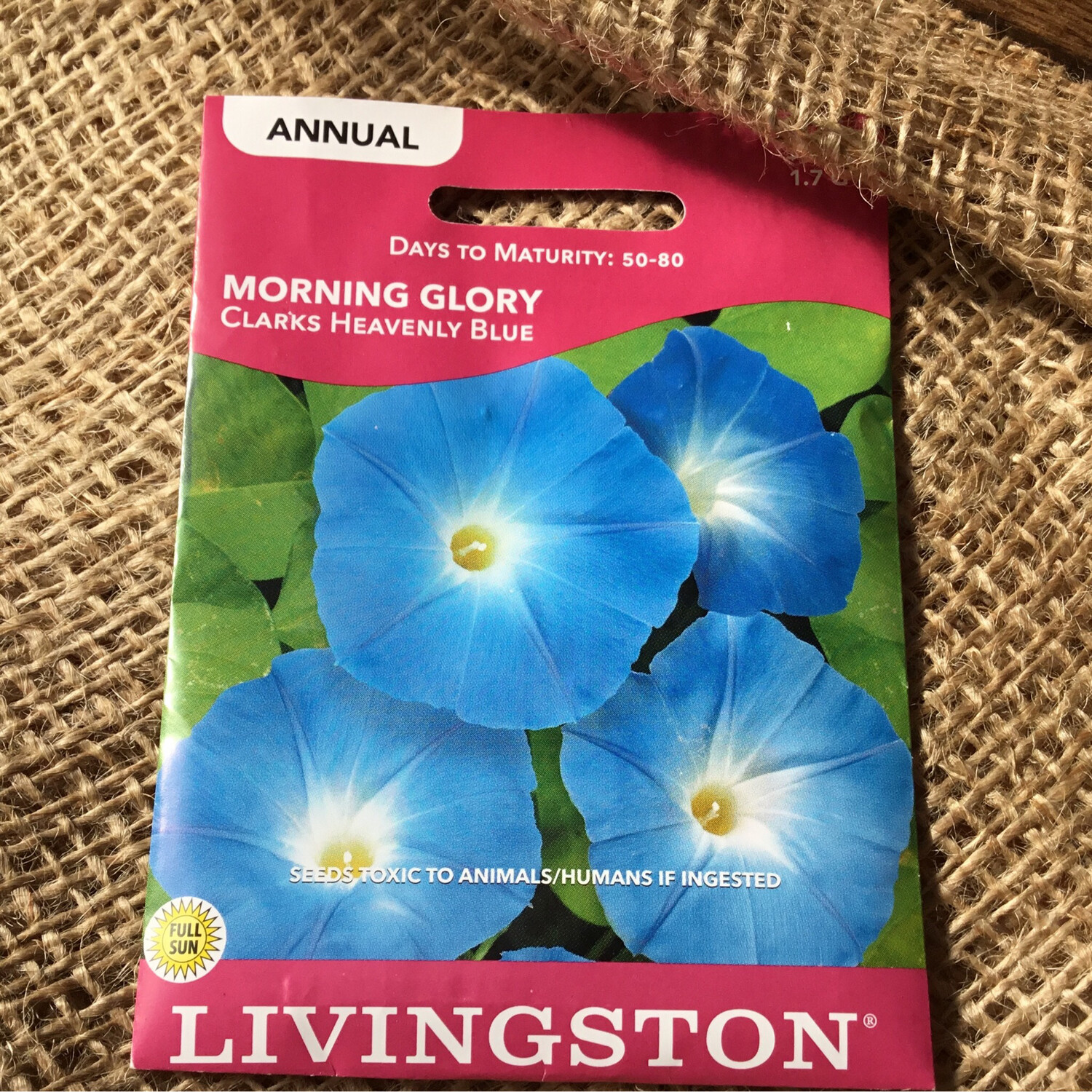 Climber Morning Glory Clarks Heavenly Blue (Seed)