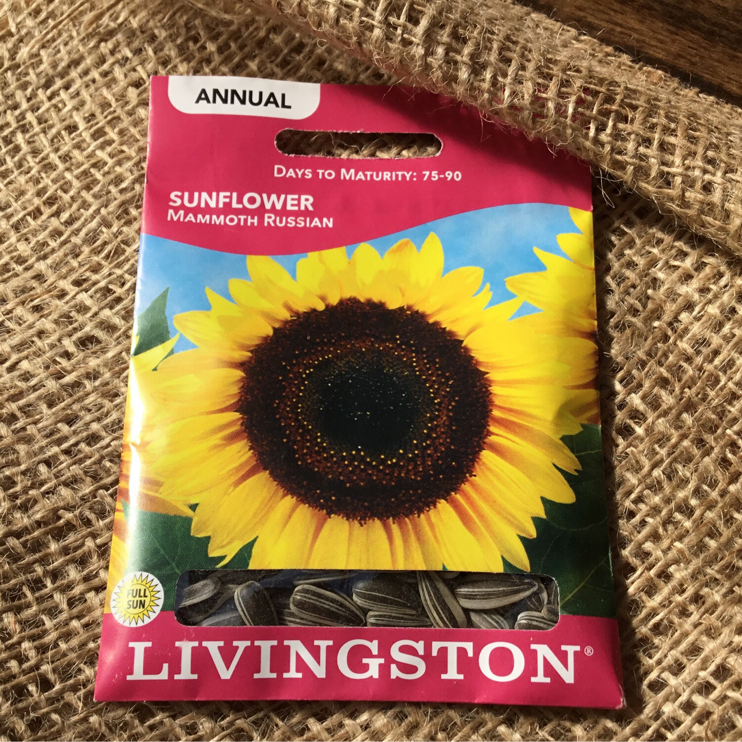 (Seed) Sunflower Mammoth Russian $2.99