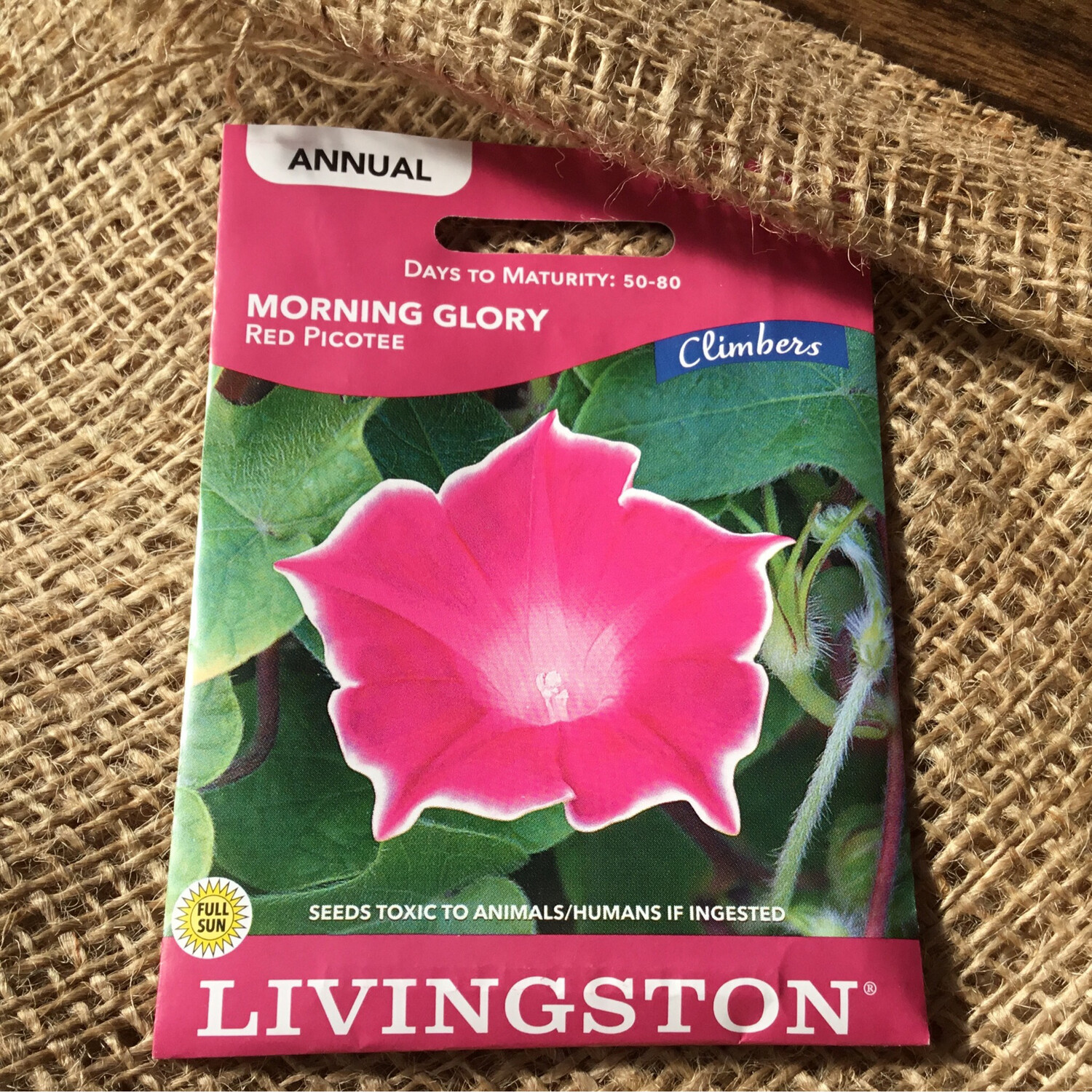 (Seed) Climber Morning Glory RED Picotte $3.49
