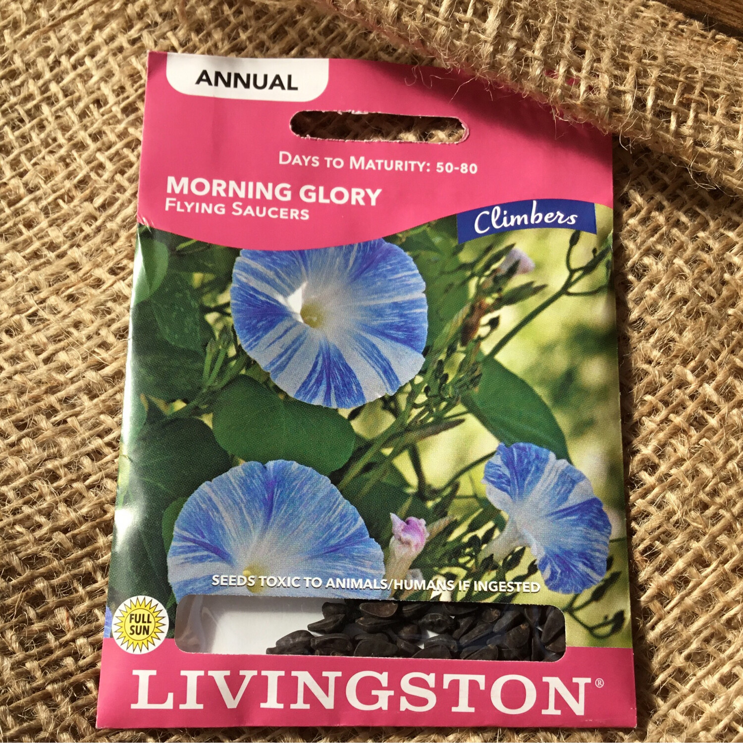 (Seed) Climber Morning Glory Flying Saucers $2.99