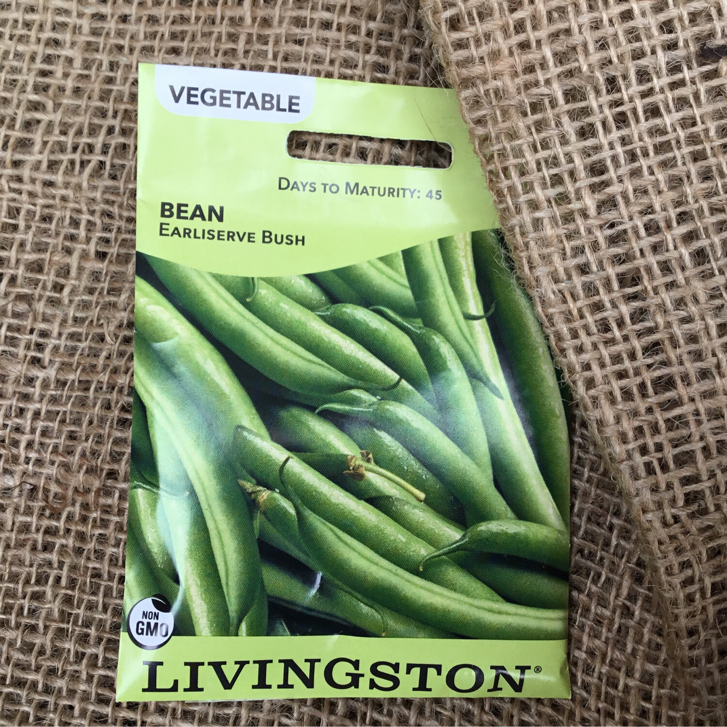 (Seed) Bean Earliserve Bush $2.99
