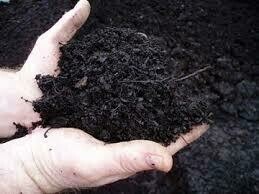 Bulk Sweet Peat Compost (Full Scoop)