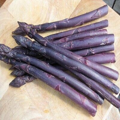 Asparagus Plant Sweet Purple (gallon vegetable pot) $9.99