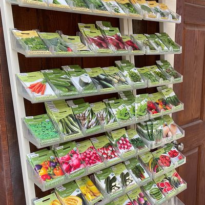 Seed Packets and Bulbs