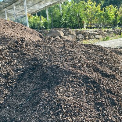 Bulk Sweet Peat Compost (Full Scoop)