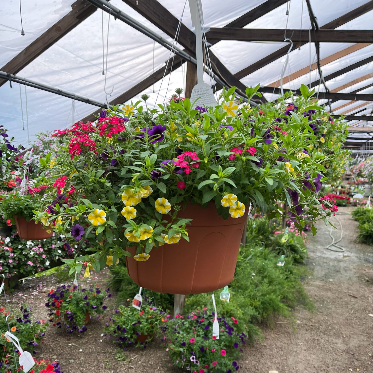 Fruit Salad (12" Hanging Basket) $45.99