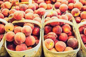 Peach 1/2 Bushel Basket (produce) $70 Pre-Order 2025