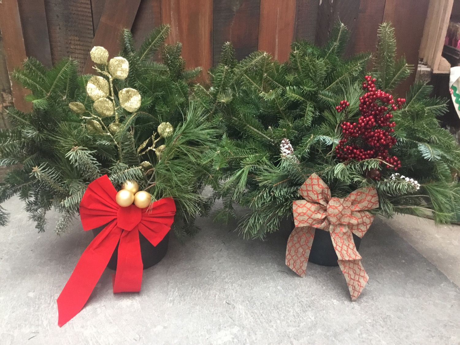 10" Patio Pot Combo $39.99 - Holiday 10" Patio Pot Combo $39.99 - Holiday