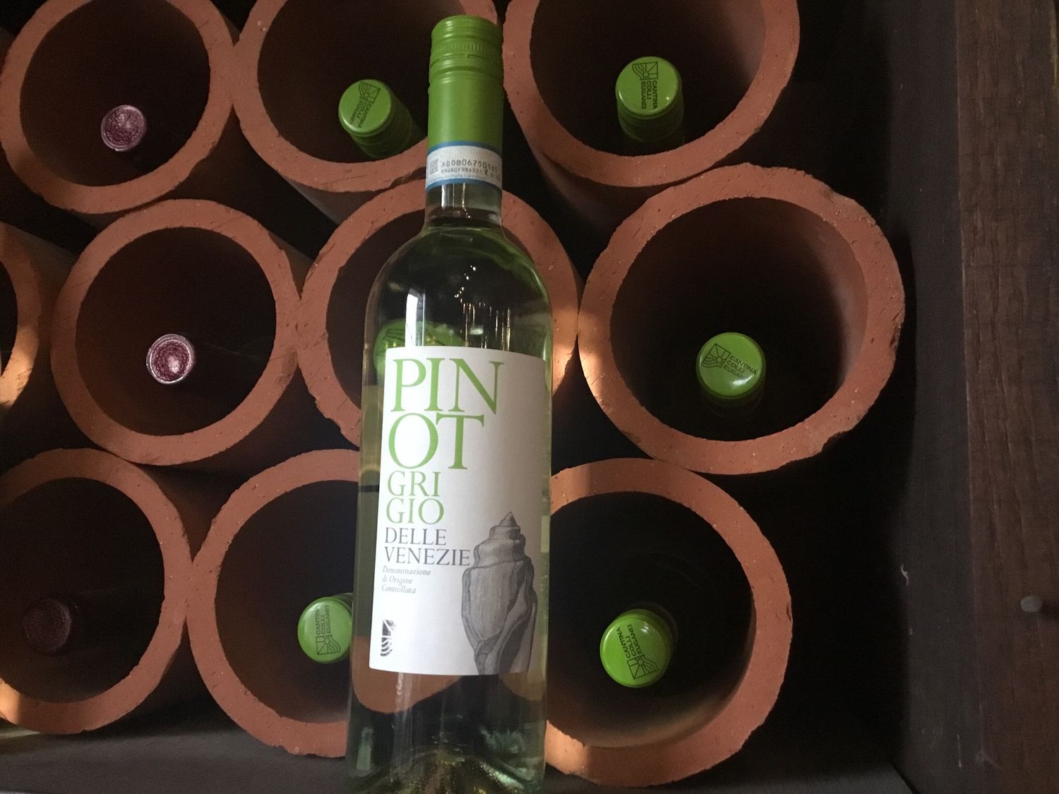Delle Venezie Pinot Grigio $10.99