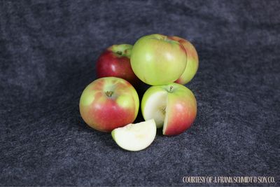 Fruit Tree Apple McIntosh (7 gallon) $159.99