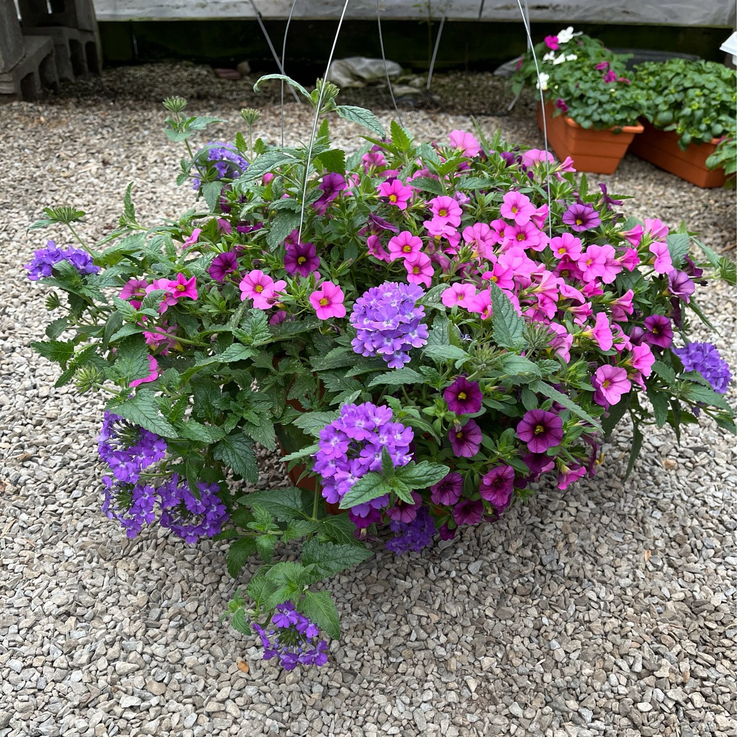 Faded Jeans (12" Hanging Basket) $45.99