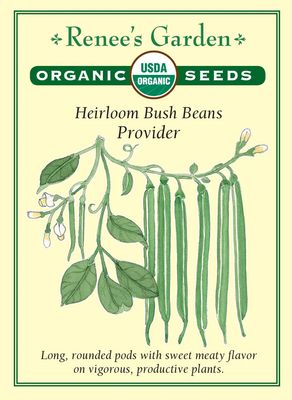 (Seed) Bean Bush Provider Organic $4.89