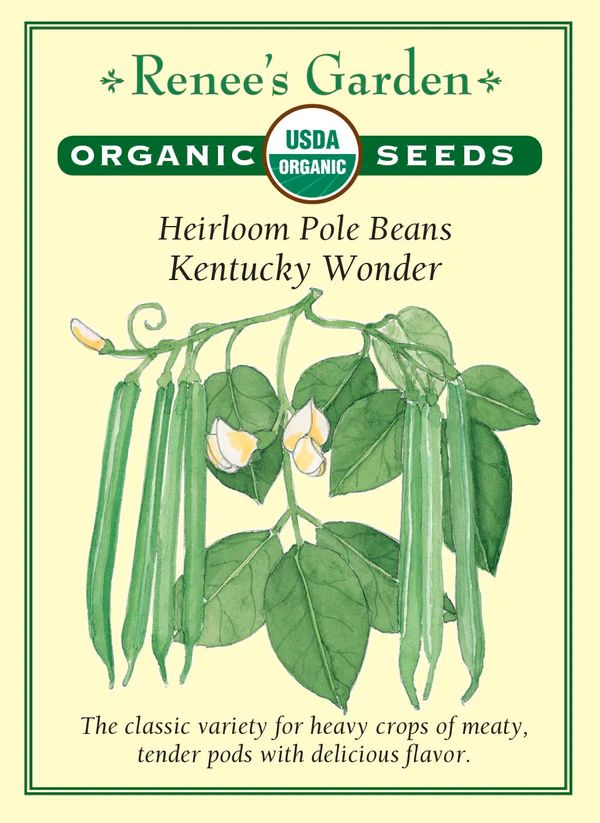 (Seed) Bean Pole Kentucky Wonder Organic $4.89