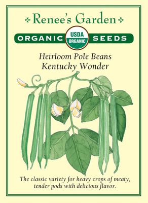 (Seed) Bean Pole Kentucky Wonder Organic $4.89