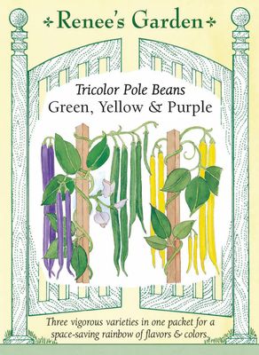 (Seed) Bean Pole Tricolor $3.99