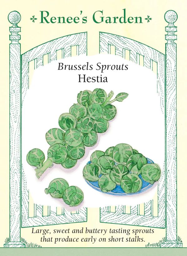 (Seed) Brussels Sprouts Hestia $4.99