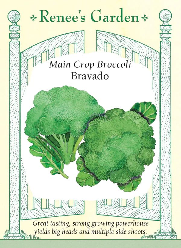 (Seed) Broccoli Bravado $3.69