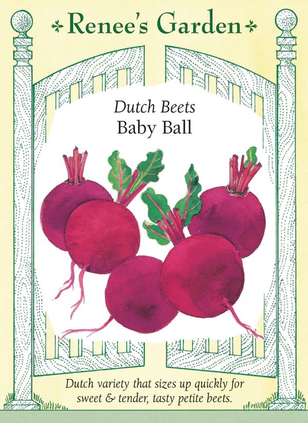(Seed) Beet Baby Ball $3.99