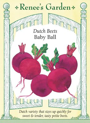 (Seed) Beet Baby Ball $3.99