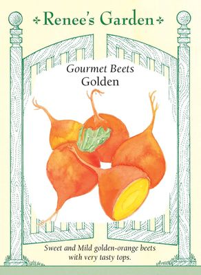 (Seed) Beet Golden $3.99