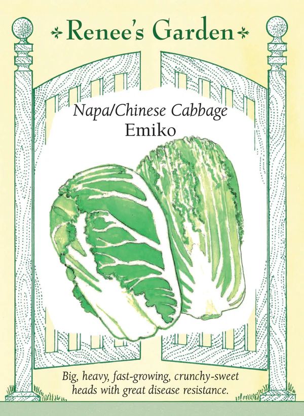 (Seed) Cabbage Napa Emiko $3.99