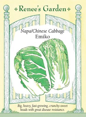 (Seed) Cabbage Napa Emiko $3.99