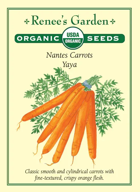 (Seed) Carrot Yaya Organic $4.89