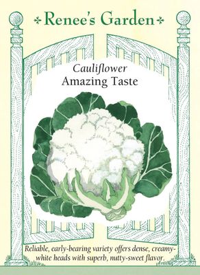 (Seed) Cauliflower Amazing Taste $4.69
