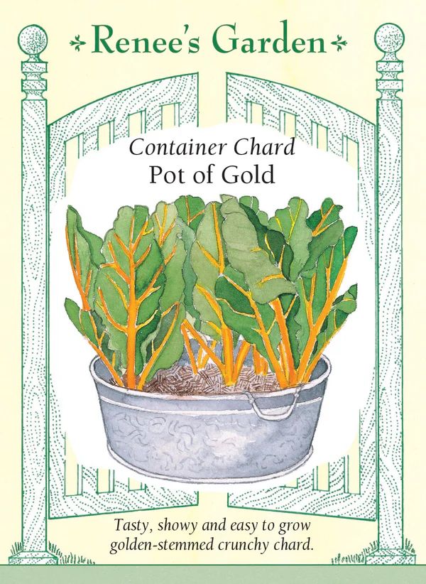 (Seed) Chard Pot of Gold $3.39