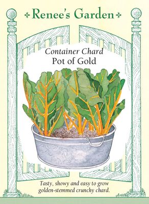 (Seed) Chard Pot of Gold $3.39