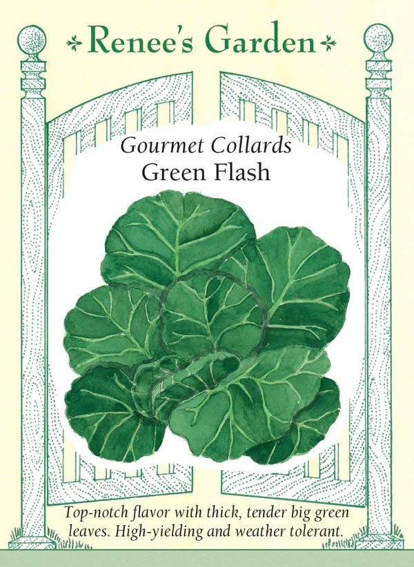 (Seed) Collards Green Flash $3.99