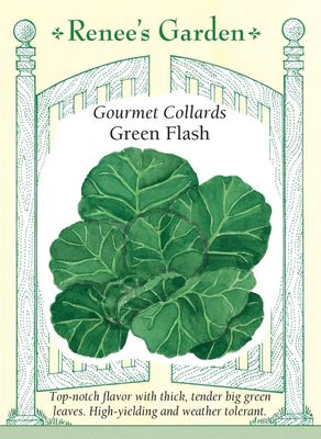 (Seed) Collards Green Flash $3.99