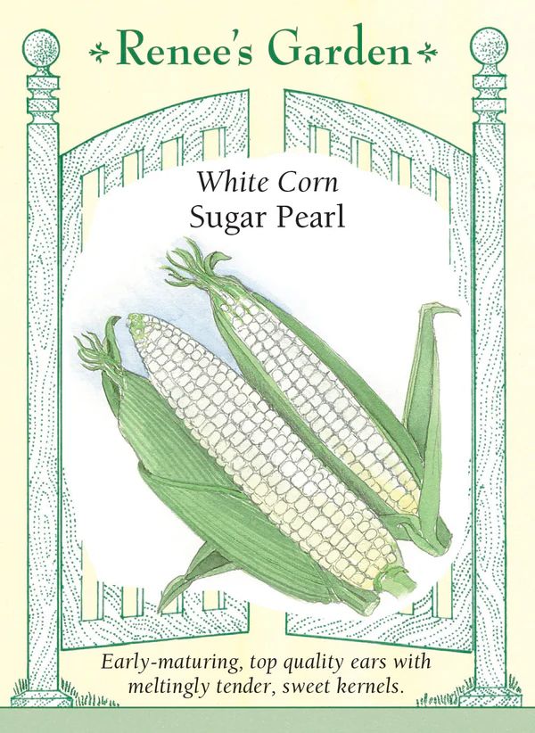 (Seed) Corn Sugar Pearls White $4.99