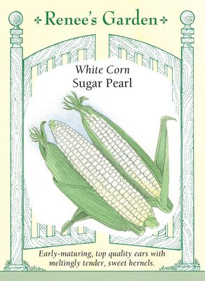 (Seed) Corn Sugar Pearls White $4.99