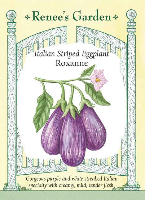 (Seed) Eggplant Roxanne $4.99