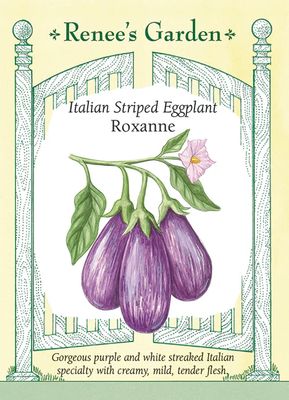 (Seed) Eggplant Roxanne $4.99