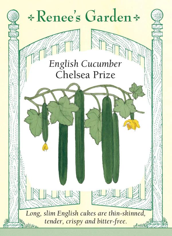 (Seed) Cucumber Chelsea Prize $4.99