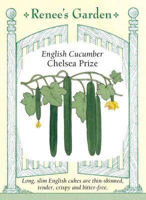 (Seed) Cucumber Chelsea Prize $4.99