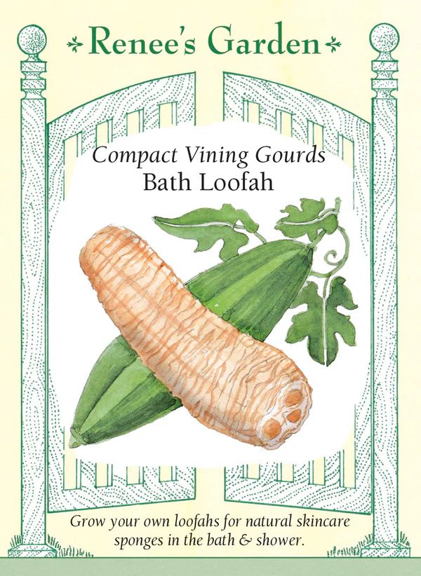 (Seed) Gourds Bath Loofah $4.39