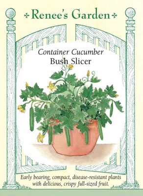 (Seed) Cucumber Bush Slicer $3.39