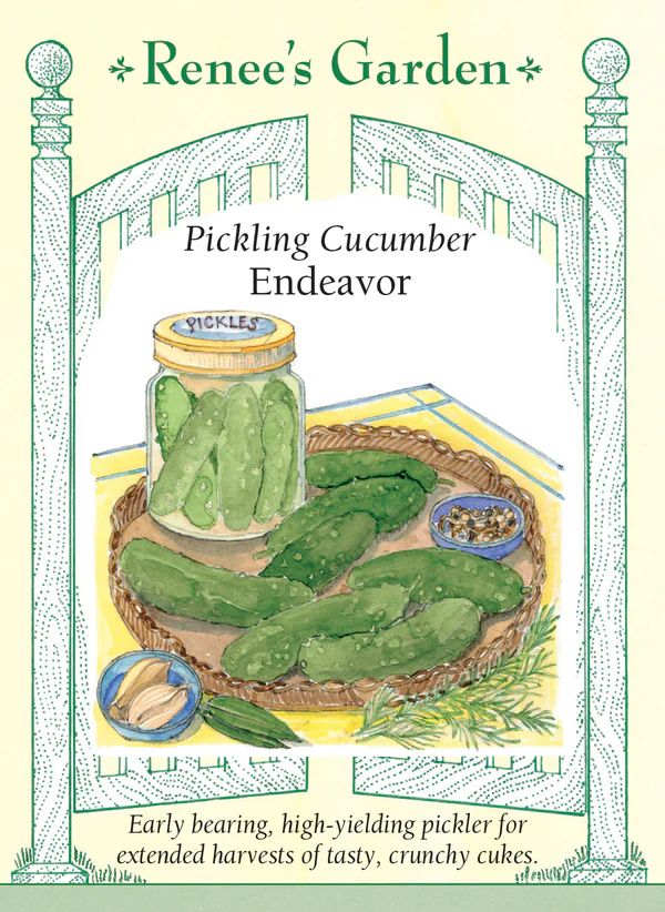 (Seed) Cucumber Pickling Endeavor $3.69