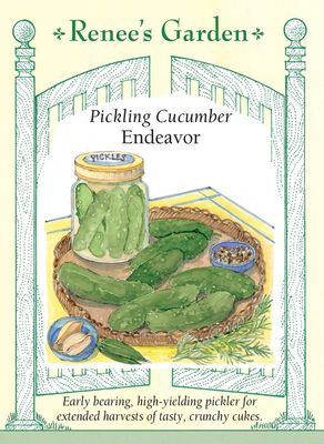 (Seed) Cucumber Pickling Endeavor $3.69