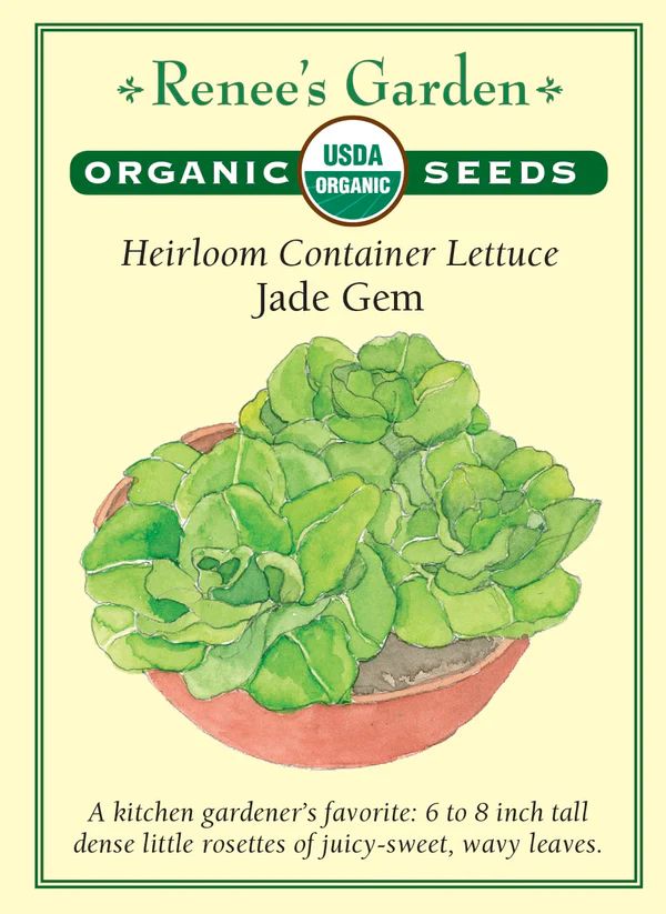 (Seed) Lettuce Jade Gem Organic $4.89