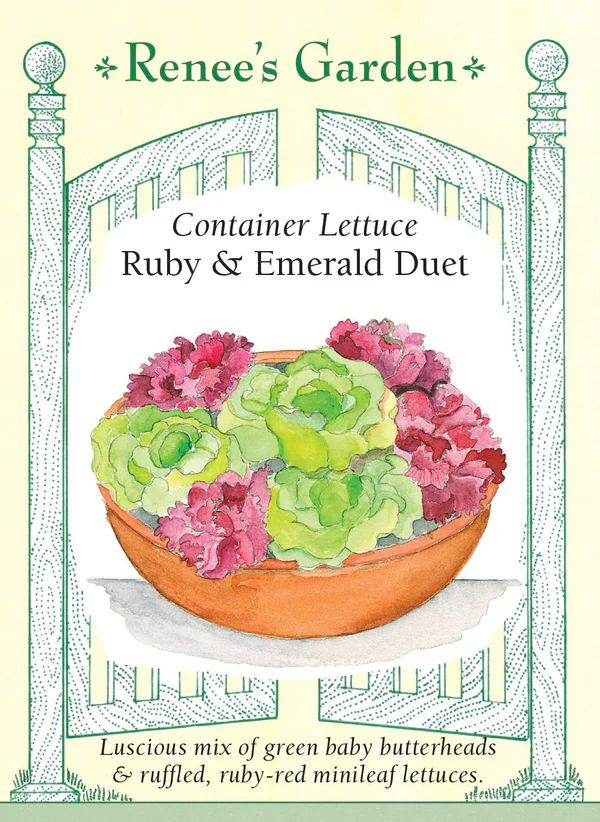 (Seed) Lettuce Ruby & Emerald Duet $3.69
