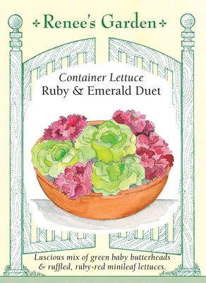 (Seed) Lettuce Ruby & Emerald Duet $3.69