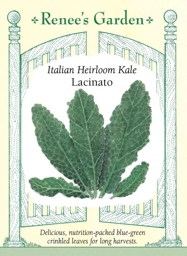 (Seed) Kale Lacinato $2.99
