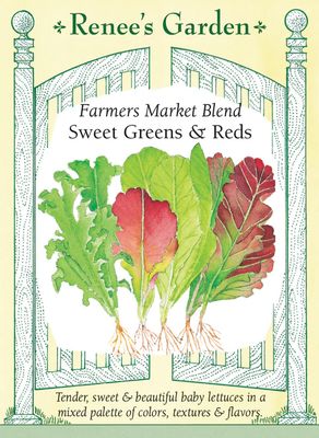 (Seed) Lettuce Farmer's Market Blend $2.99