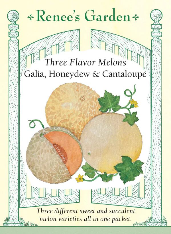 (Seed) Melon Three Flavor Mix $4.69