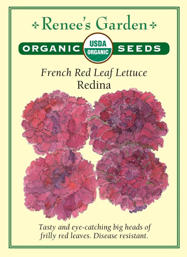 (Seed) Lettuce Redina French Red Leaf Organic $4.89